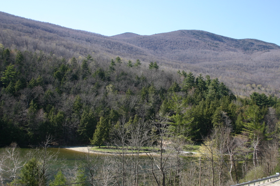 IMG_8966.JPG
