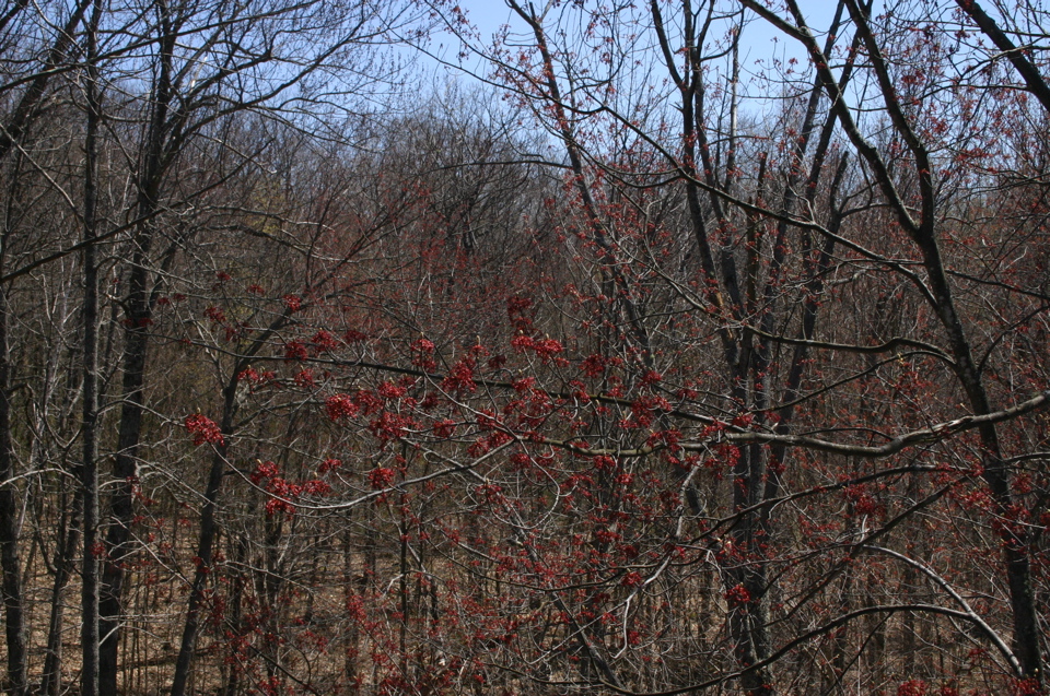 IMG_9014.JPG