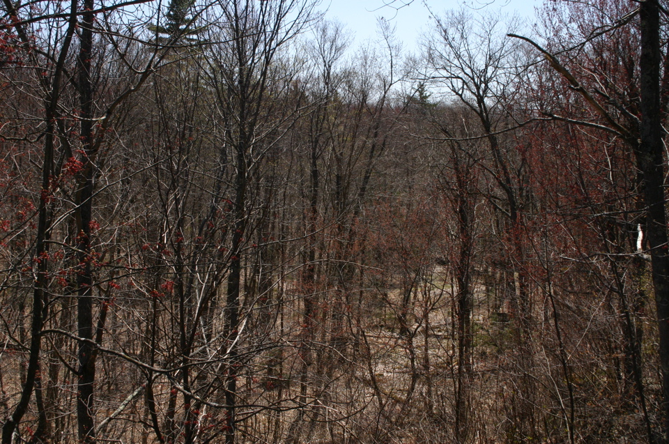 IMG_9015.JPG