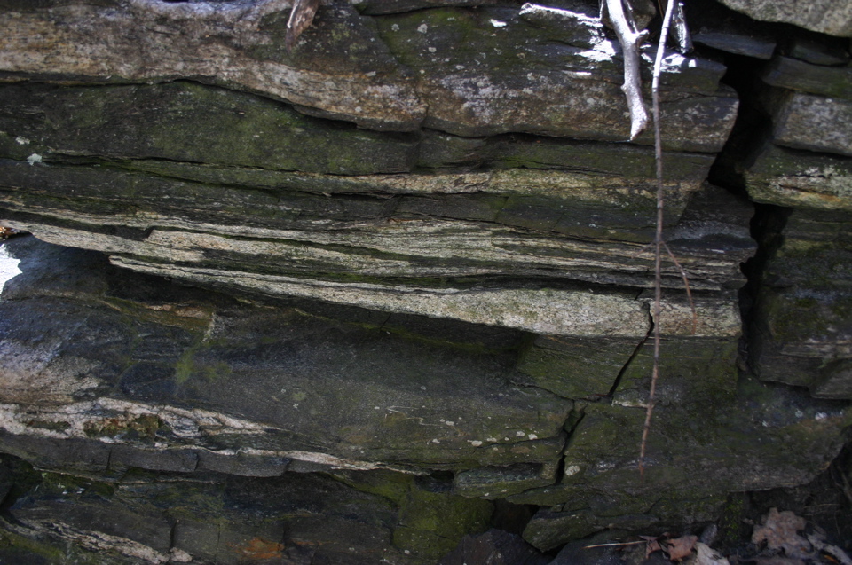IMG_9032.JPG