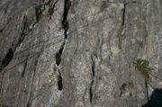 IMG_8973.JPG