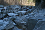IMG_8981.JPG