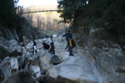 IMG_8983.JPG