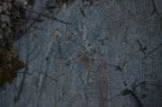 IMG_8984.JPG