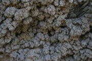 IMG_8991.JPG