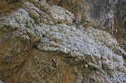 IMG_8992.JPG