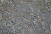 IMG_8995.JPG