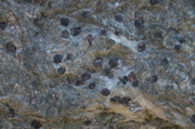 IMG_8996.JPG