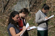 IMG_9003.JPG