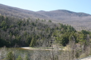 IMG_8966.JPG
