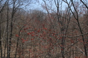 IMG_9014.JPG
