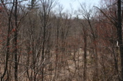 IMG_9015.JPG