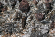 IMG_9022.JPG