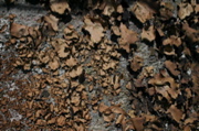 IMG_9027.JPG
