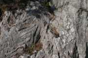 IMG_8969.JPG