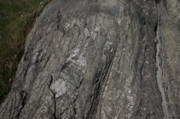 IMG_8970.JPG