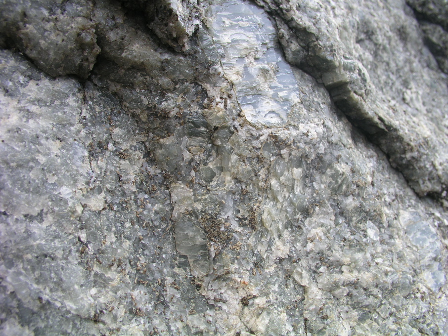 P1010003.JPG