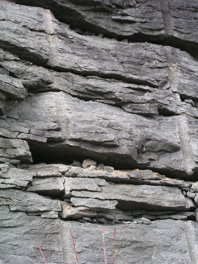 P1010011.JPG