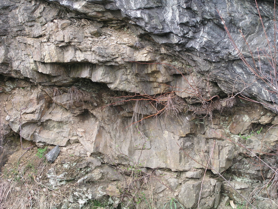 P1010012.JPG