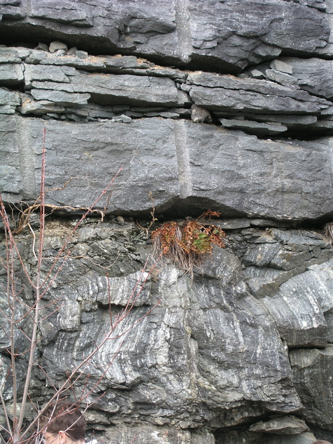 P1010013.JPG