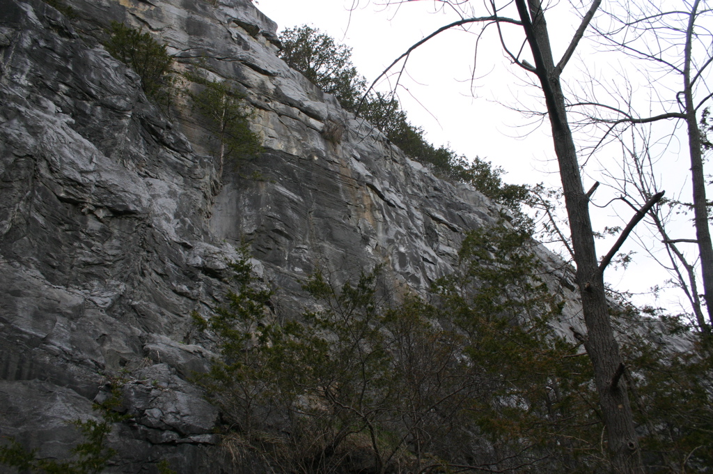 IMG_2014.JPG