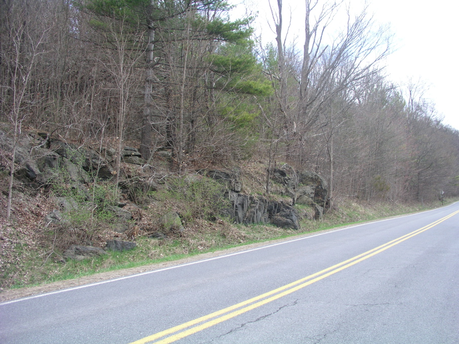 P1010020.JPG