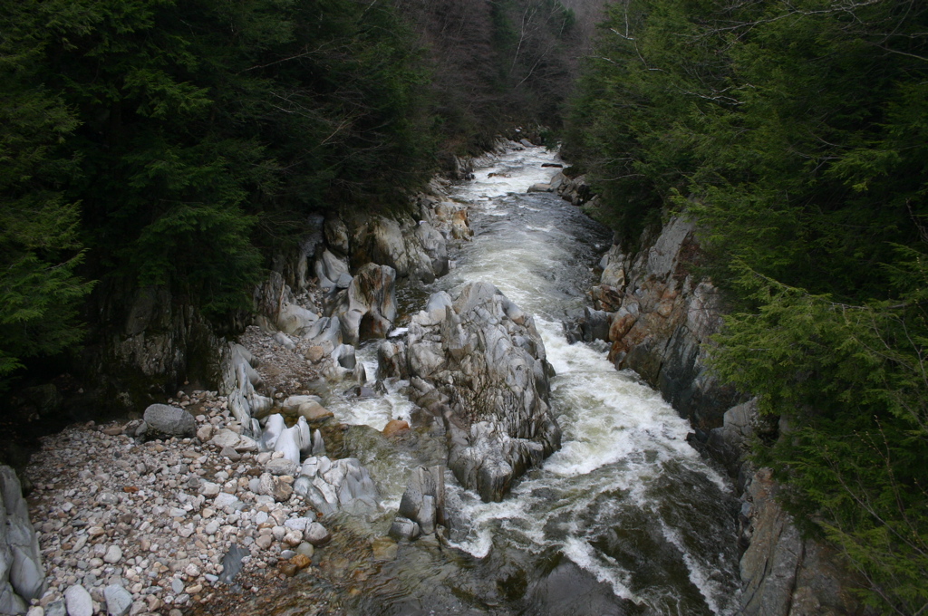 IMG_2046.JPG