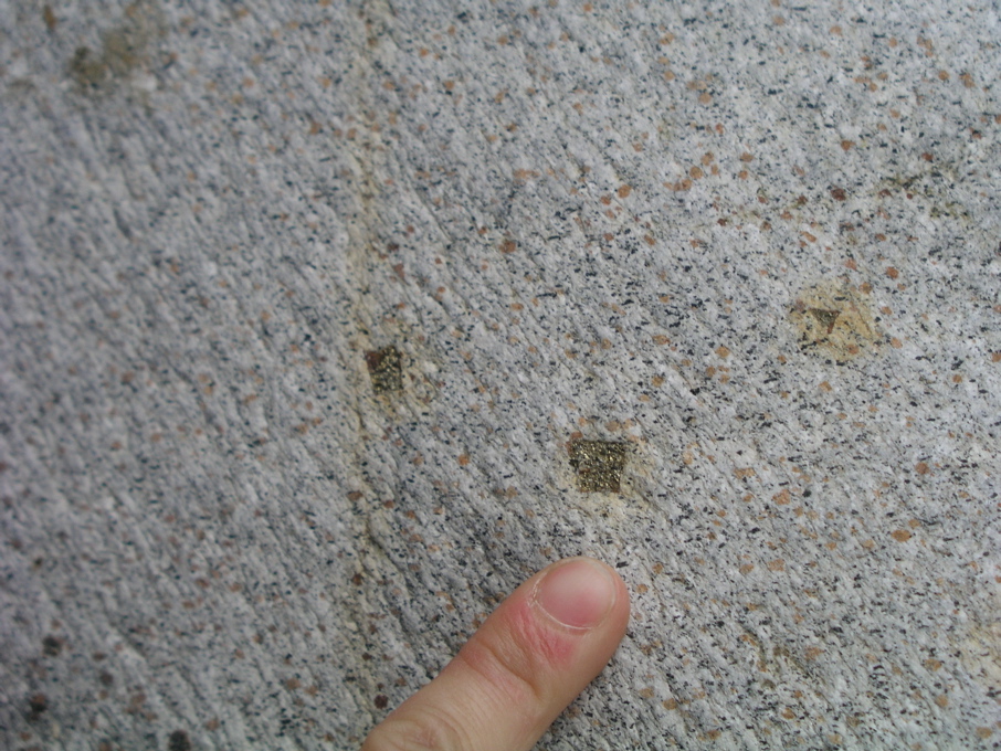 P1010033.JPG