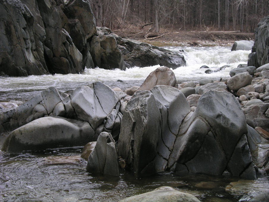 P1010034.JPG