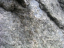 P1010003.JPG