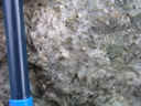 P1010005.JPG