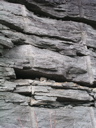 P1010011.JPG