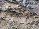 P1010012.JPG