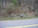 P1010019.JPG