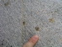 P1010033.JPG