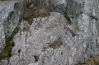 IMG_2056.JPG