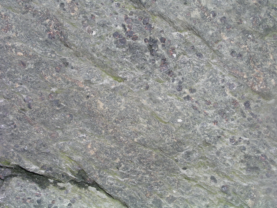 P1010040.JPG