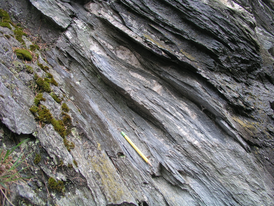 P1010044.JPG