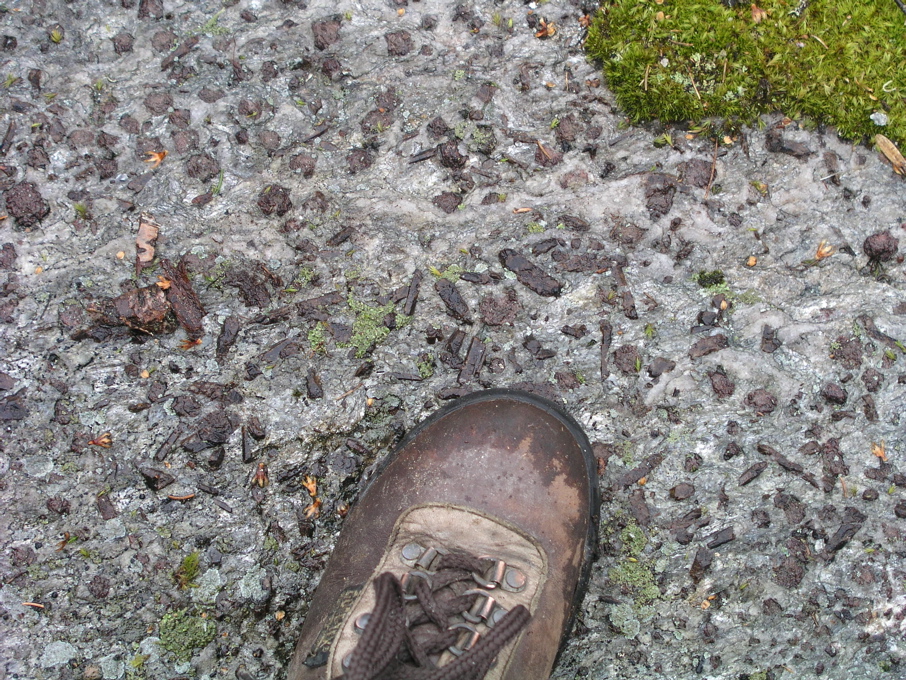 P1010056.JPG