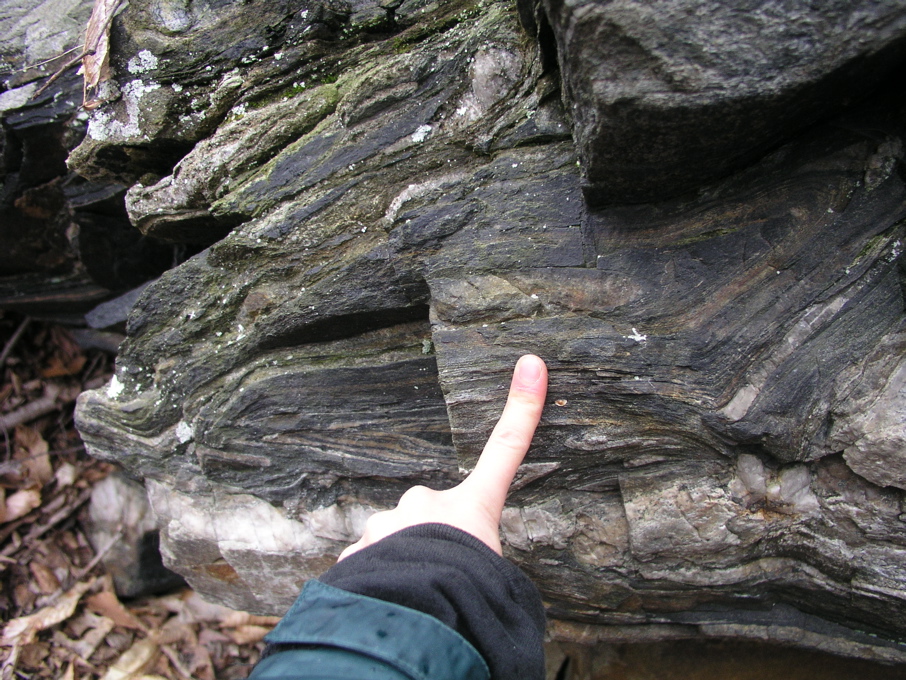 P1010060.JPG