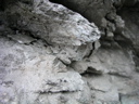 P1010038.JPG
