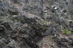 IMG_2064.JPG