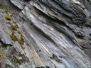 P1010044.JPG