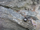 P1010046.JPG