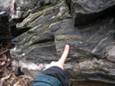P1010060.JPG