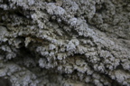 IMG_2069.JPG