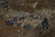 IMG_9783.JPG