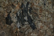 IMG_9784.JPG