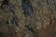 IMG_9785.JPG