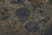 IMG_9786.JPG